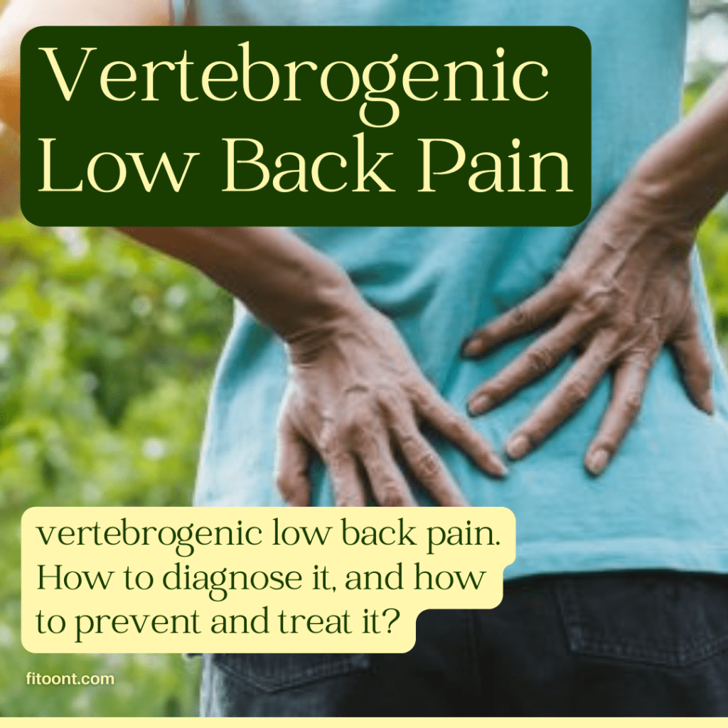 vertebrogenic low back pain